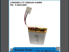 GP603450 1200mAh 3.7V